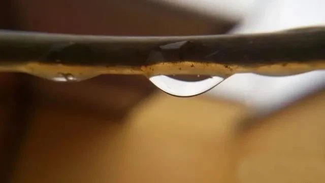 Influence of water on cables